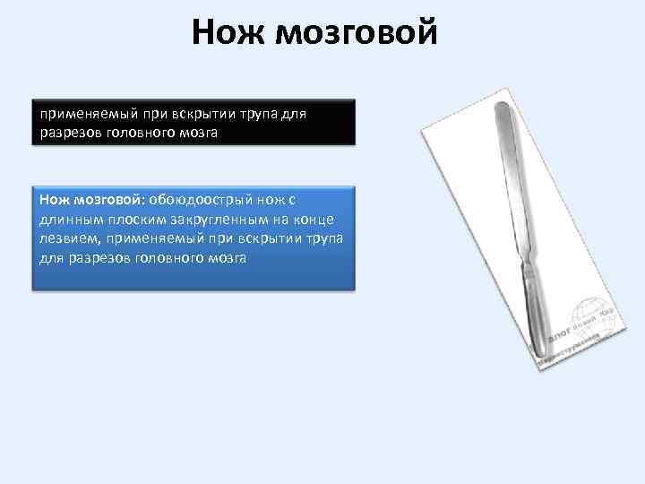 Конец острия. Мозговой нож. Нож мозговой анатомический. Мозговой нож Вирхова. Ножи хирургические классификация.