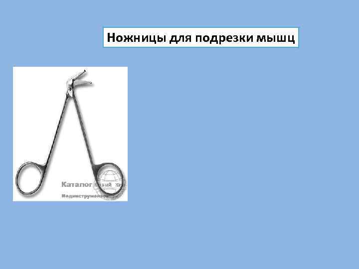 Ножницы для подрезки мышц 