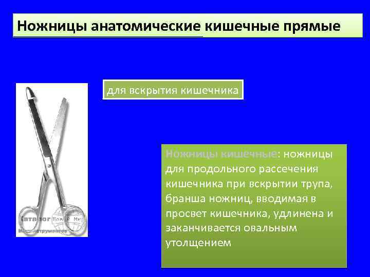 Ножницы анатомические. Ножницы анатомические кишечные прямые 205. Ножницы патологоанатомические. Энтеральные ножницы. Ножницы в кишечнике.