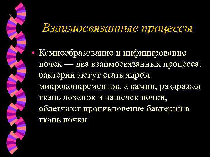 Взаимосвязанные процессы w Камнеобразование и инфицирование почек — два взаимосвязанных процесса: бактерии могут стать
