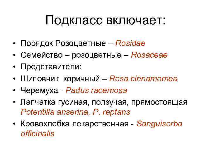 Подкласс включает: • • • Порядок Розоцветные – Rosidae Семейство – розоцветные – Rosaceae