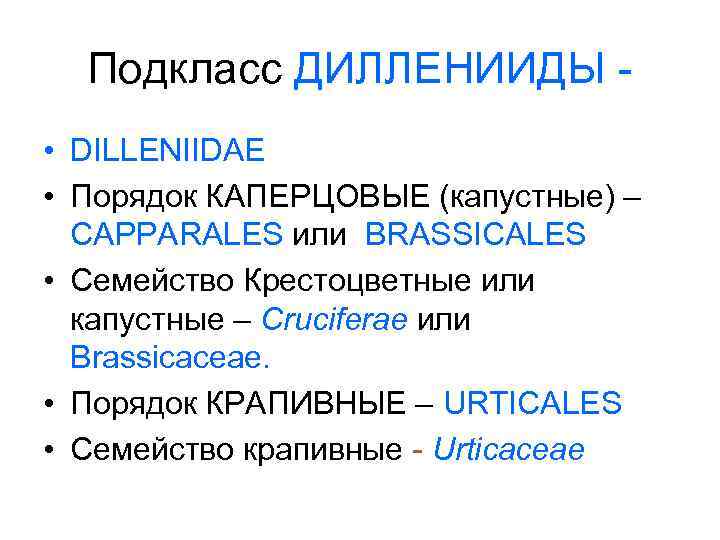 Подкласс ДИЛЛЕНИИДЫ • DILLENIIDAE • Порядок КАПЕРЦОВЫЕ (капустные) – CAPPARALES или BRASSICALES • Семейство