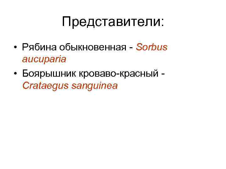 Представители: • Рябина обыкновенная - Sorbus aucuparia • Боярышник кроваво-красный Crataegus sanguinea 