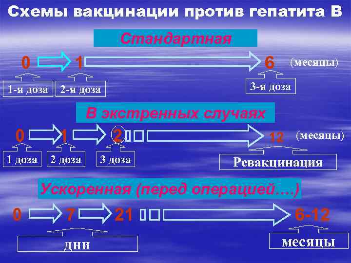 Схемы вакцинации против гепатита В Стандартная 0 1 6 (месяцы) 3 -я доза 1
