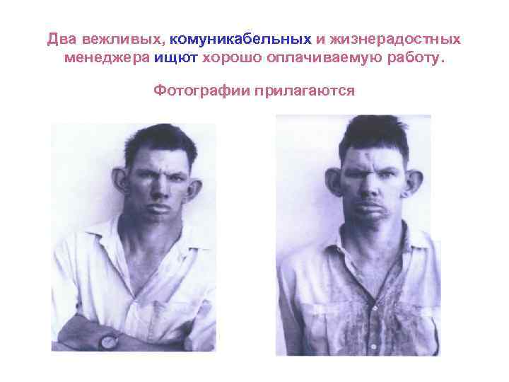 Два вежливых, комуникабельных и жизнерадостных менеджера ищют хорошо оплачиваемую работу. Фотографии прилагаются 