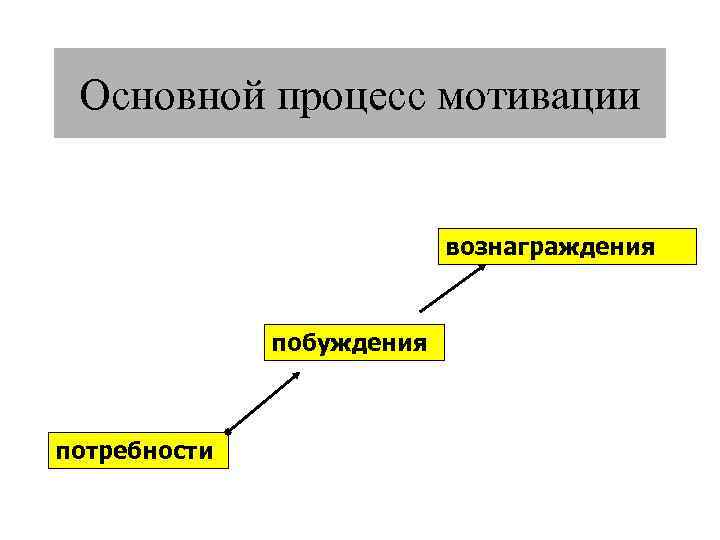 Основной процесс мотивации вознаграждения побуждения потребности 