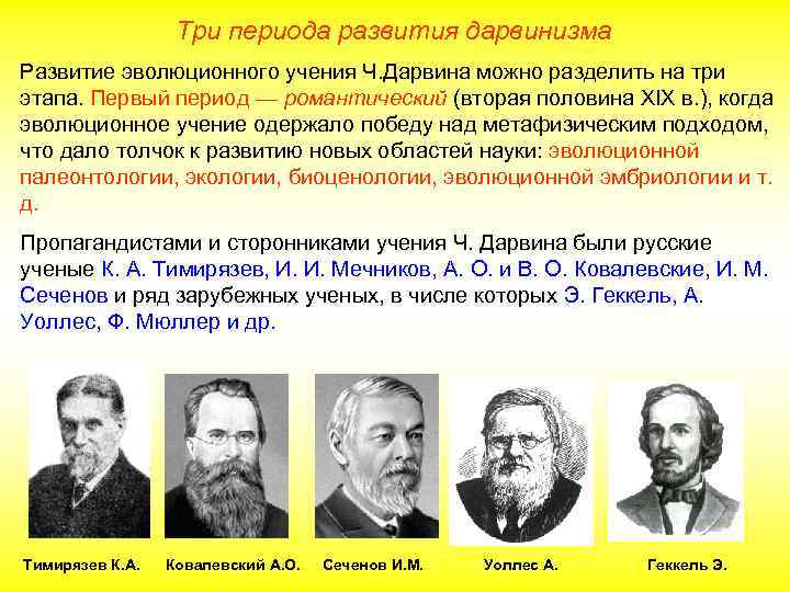 Три периода развития дарвинизма Развитие эволюционного учения Ч. Дарвина можно разделить на три этапа.