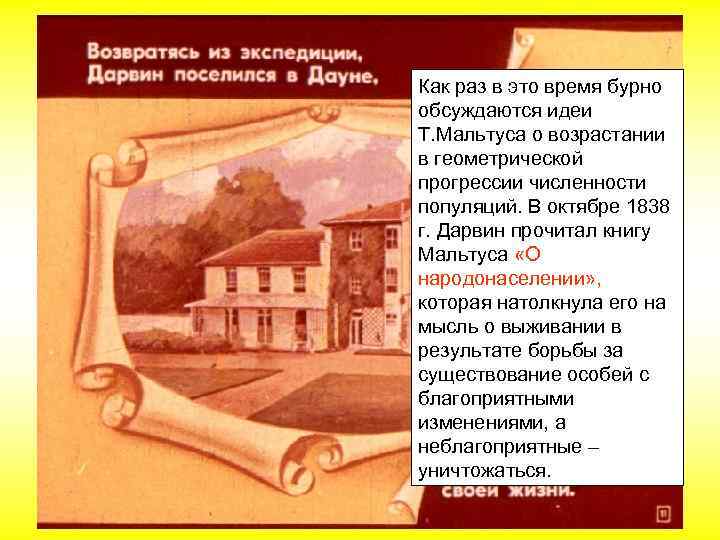 Как раз в это время бурно обсуждаются идеи Т. Мальтуса о возрастании в геометрической