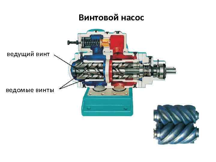 Винтовой насос ведущий винт ведомые винты 