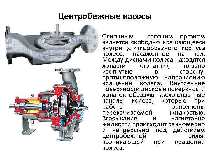 Центробежные насосы Основным рабочим органом является свободно вращающееся внутри улиткообразного корпуса колесо, насаженное на