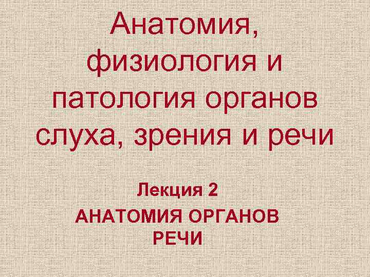 Презентация анатомия и физиология органов речи