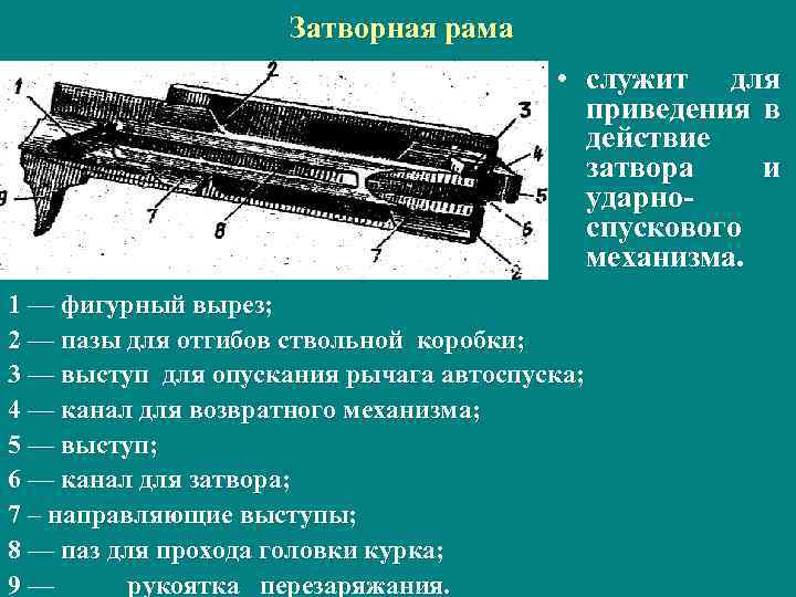 Затворная рама • служит для приведения в действие затвора и ударно спускового механизма. 1