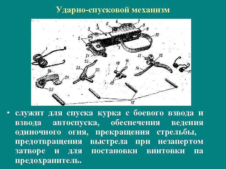 Ударно спусковой механизм • служит для спуска курка с боевого взвода и взвода автоспуска,