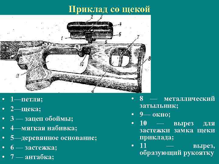 Приклад со щекой • • 1—петля; 2—щека; 3 — зацеп обоймы; 4—мягкая набивка; 5—деревянное