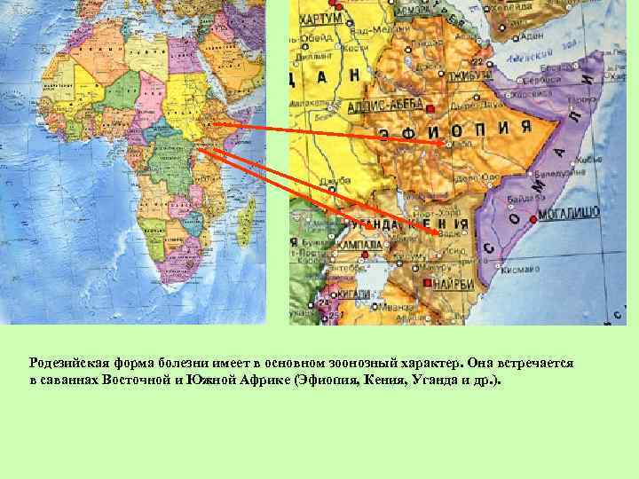 Родезийская форма болезни имеет в основном зоонозный характер. Она встречается в саваннах Восточной и