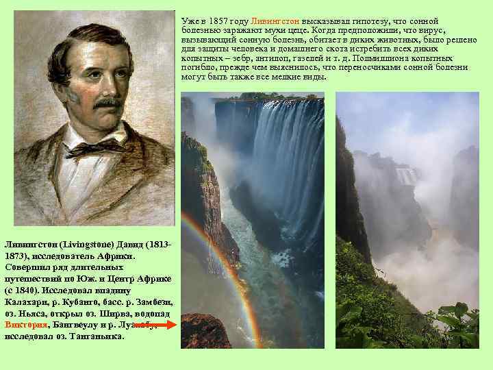 Уже в 1857 году Ливингстон высказывал гипотезу, что сонной болезнью заражают мухи цеце. Когда