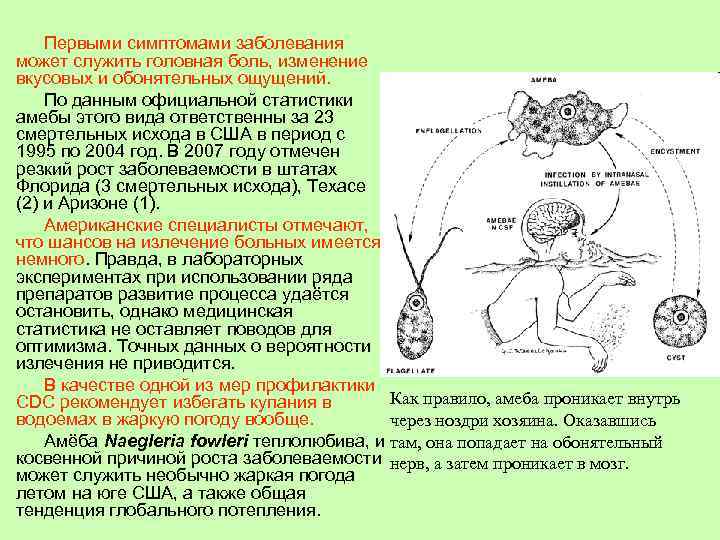 Первыми симптомами заболевания может служить головная боль, изменение вкусовых и обонятельных ощущений. По данным