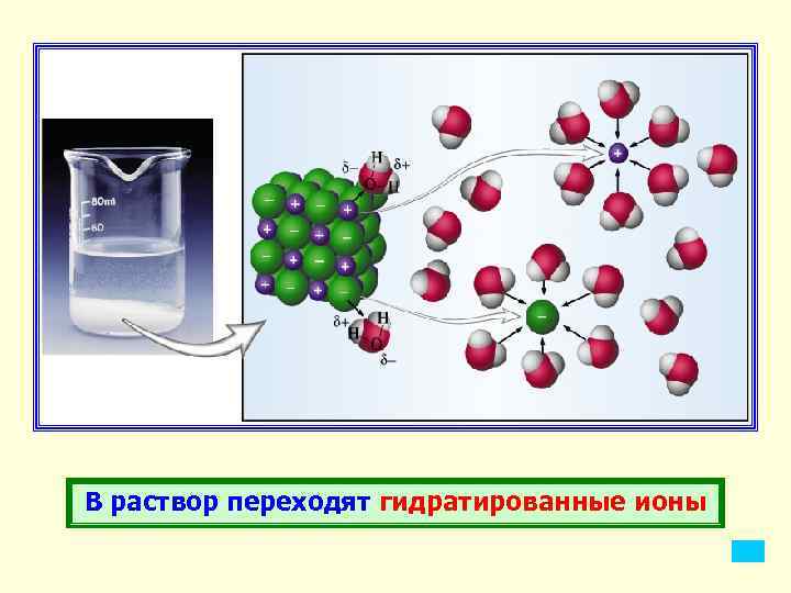 В раствор переходят гидратированные ионы 