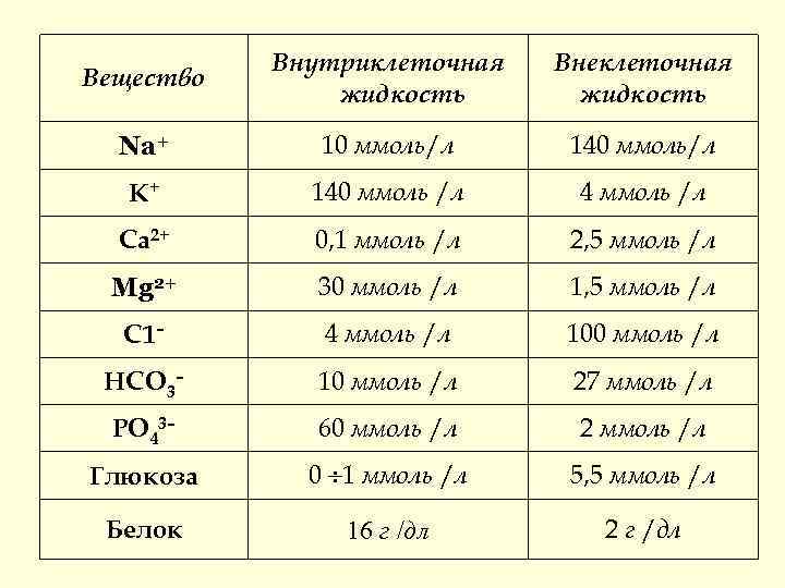  Внутриклеточная Внеклеточная Вещество жидкость Na+ 10 ммоль/л 140 ммоль/л К+ 140 ммоль /л