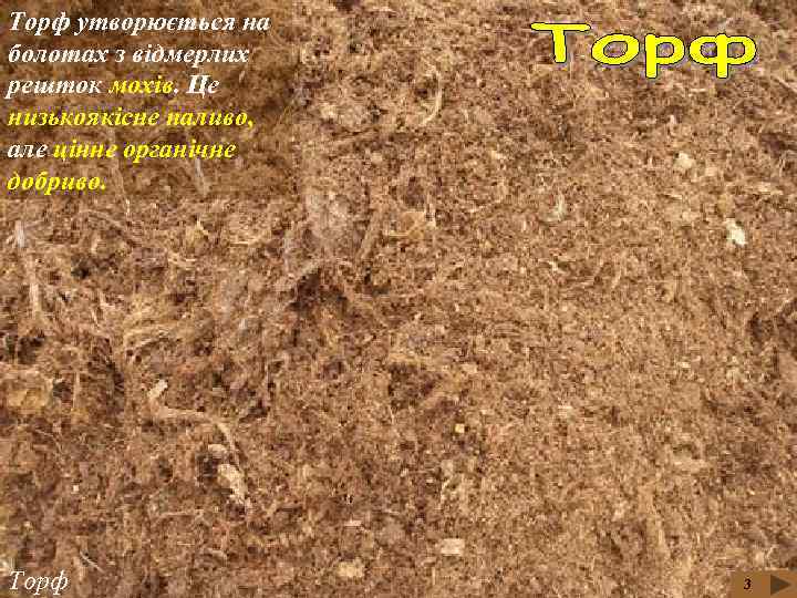 Торф утворюється на болотах з відмерлих решток мохів. Це низькоякісне паливо, але цінне органічне
