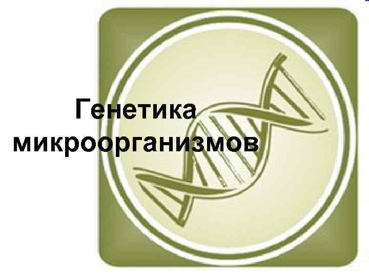 Генетика микроорганизмов 