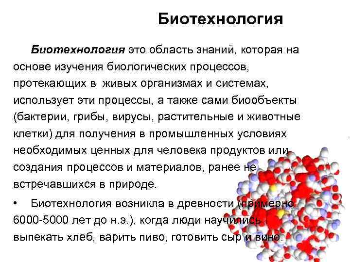 Биотехнология это область знаний, которая на основе изучения биологических процессов, протекающих в живых организмах