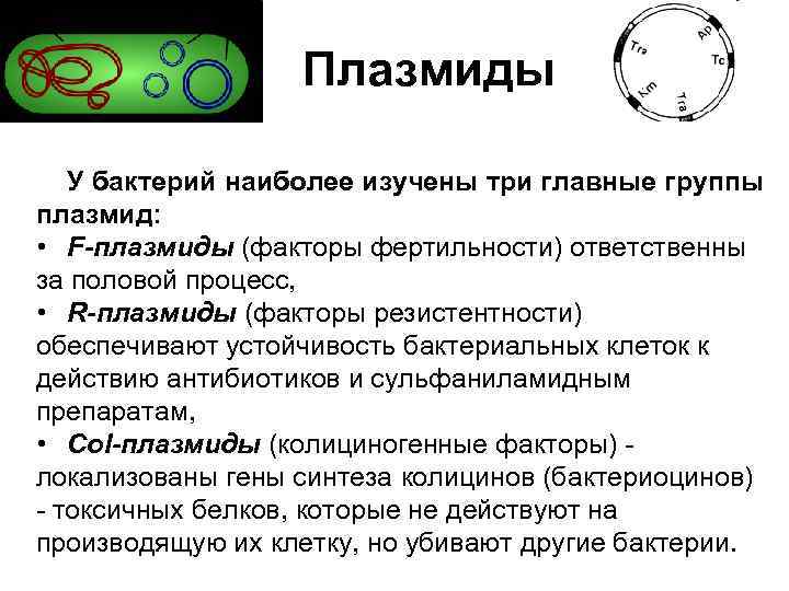 Днк бактерий. Плазмида функции в клетке. Строение бактерии плазмида. Функции плазмид микробиология. Строение плазмид микробиология.