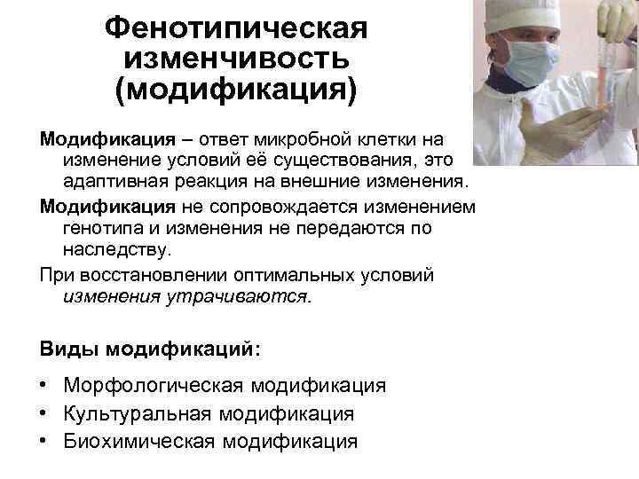 Фенотипическая изменчивость (модификация) Модификация – ответ микробной клетки на изменение условий её существования, это