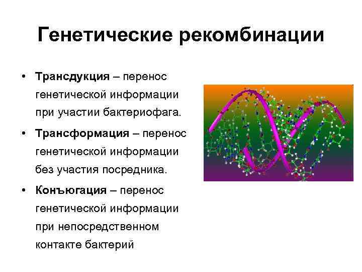Перенос наследственной информации. Генетические рекомбинации у бактерий. Генетическая информация бактерий. Механизмы перекомбинации генетического материала.