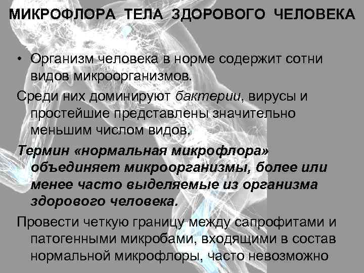 МИКРОФЛОРА ТЕЛА ЗДОРОВОГО ЧЕЛОВЕКА • Организм человека в норме содержит сотни видов микроорганизмов. Среди