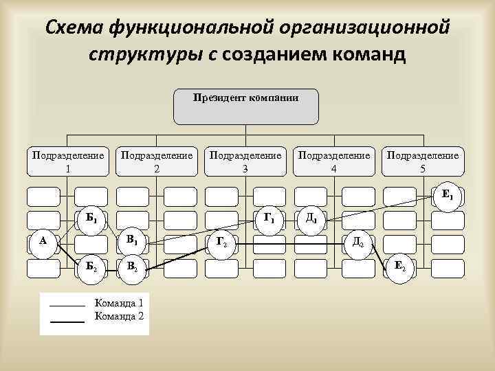 Функциональная организационная структура проекта