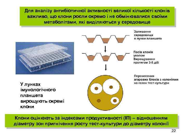 Для аналізу антибіотичної активності великої кількості клонів важливо, що клони росли окремо і не