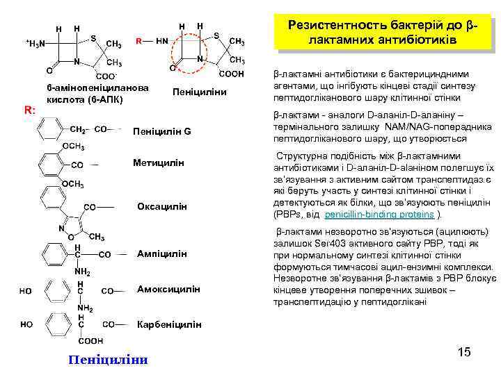 Резистентность бактерій до βлактамних антибіотиків 6 -амінопеніциланова кислота (6 -АПК) Пеніциліни Пеніцилін G Метицилін