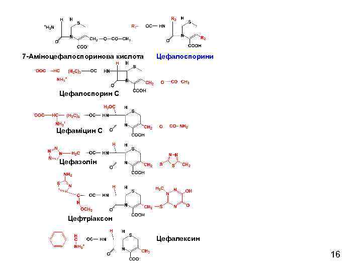 7 -Аміноцефалоспоринова кислота Цефалоспорини Цефалоспорин С Цефаміцин С Цефазолін Цефтріаксон Цефалексин 16 