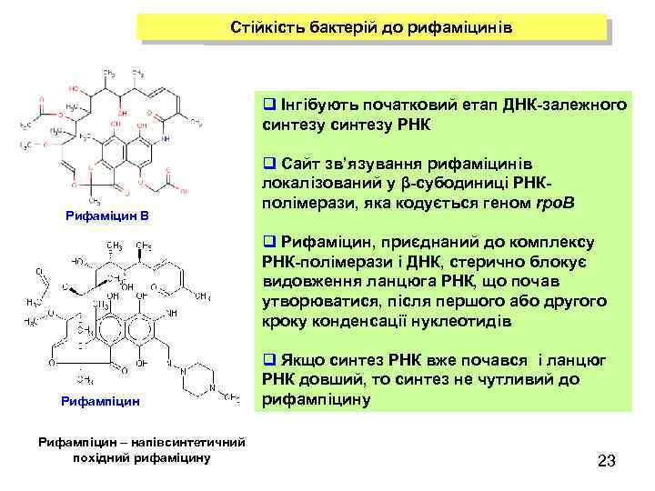 Стійкість бактерій до рифаміцинів q Інгібують початковий етап ДНК-залежного синтезу РНК Рифаміцин В q