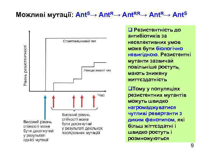 Можливі мутації: Ant. S→ Ant. RR→ Ant. S q Резистентність до антибіотиків за неселективних