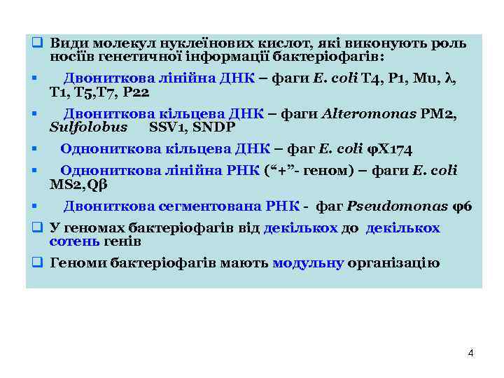 q Види молекул нуклеїнових кислот, які виконують роль носіїв генетичної інформації бактеріофагів: § Двониткова