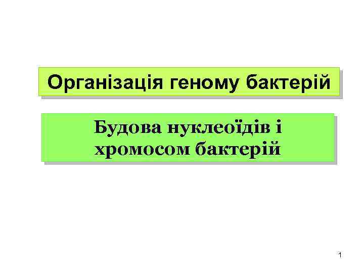 Організація геному бактерій Будова нуклеоїдів і хромосом бактерій 1 