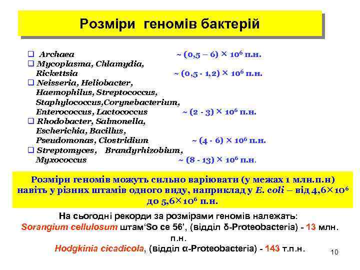 Розміри геномів бактерій q Archaea ~ (0, 5 – 6) 106 п. н. q