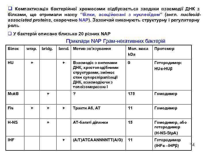 q Компактизація бактерійної хромосоми відбувається завдяки взаємодії ДНК з білками, що отримали назву “білки,
