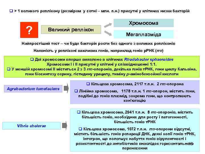 q > 1 великого реплікону (розміром у сотні – млн. п. н. ) присутні