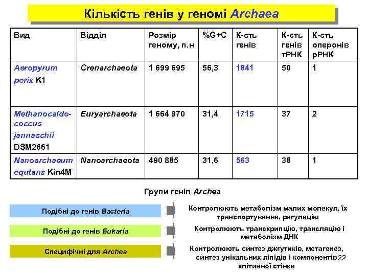 Кількість генів у геномі Archaea Вид Відділ Розмір геному, п. н %G+C К-сть генів
