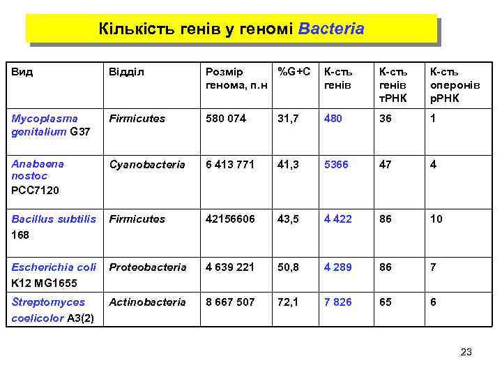 Кількість генів у геномі Bacteria Вид Відділ Розмір %G+C генома, п. н К-сть генів