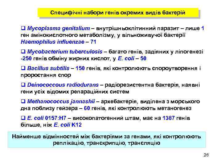 Специфічні набори генів окремих видів бактерій q Mycoplasma genitalium – внутрішньоклітинний паразит – лише