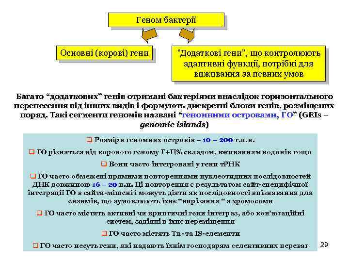 Геном бактерії Основні (корові) гени “Додаткові гени”, що контролюють адаптивні функції, потрібні для виживання
