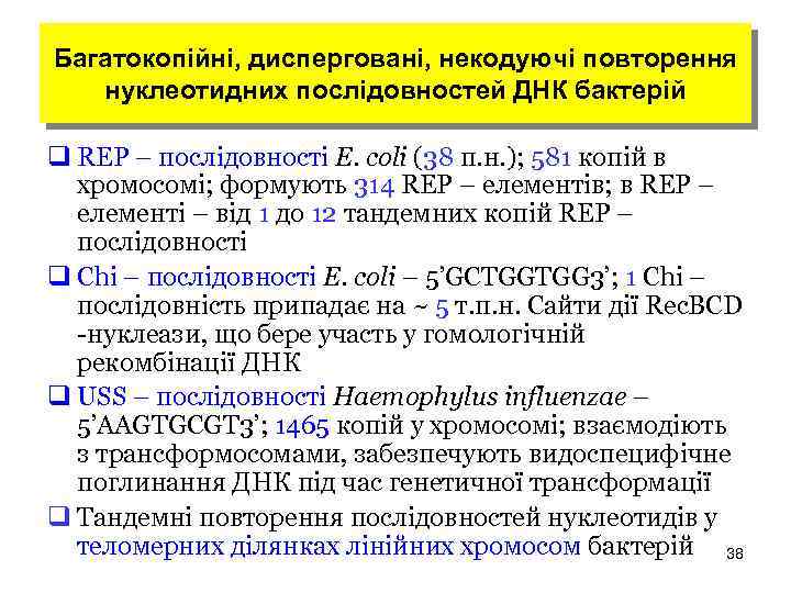 Багатокопійні, дисперговані, некодуючі повторення нуклеотидних послідовностей ДНК бактерій q REP – послідовності E. coli