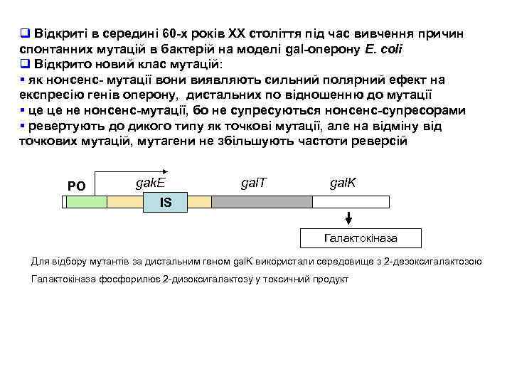 q Відкриті в середині 60 -х років ХХ століття під час вивчення причин спонтанних