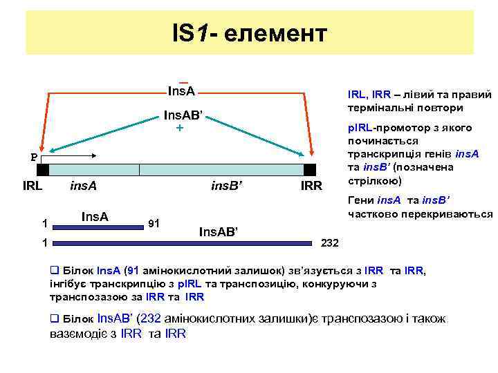 IS 1 - елемент _ Ins. A IRL, IRR – лівий та правий термінальні
