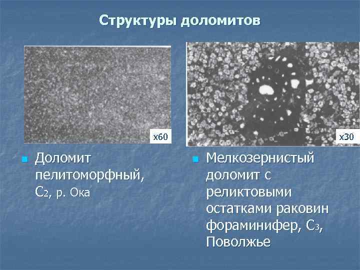 Структуры доломитов х60 n Доломит пелитоморфный, С 2, р. Ока х30 n Мелкозернистый доломит