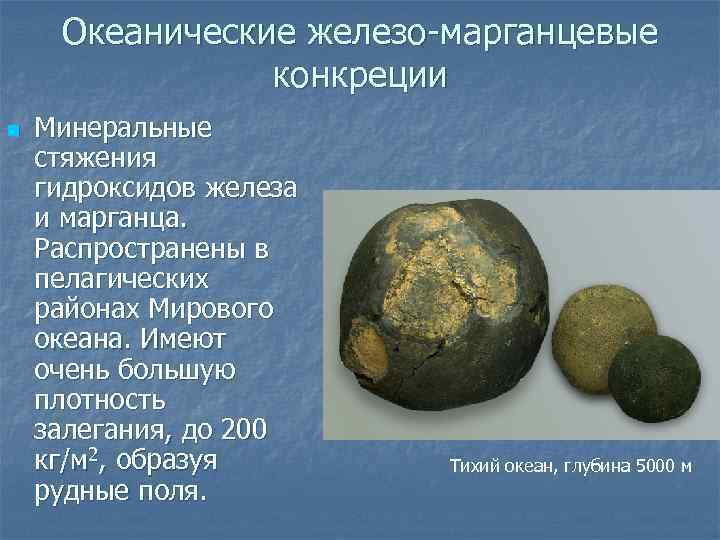Океанические железо-марганцевые конкреции n Минеральные стяжения гидроксидов железа и марганца. Распространены в пелагических районах